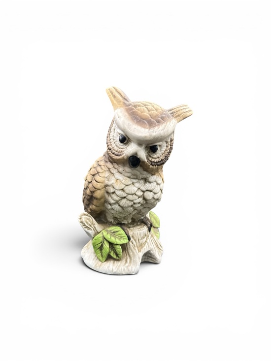Vintage Other - Vintage 1970s Bisque Porcelain Rotating Owl Rotating Music Playing Figurine